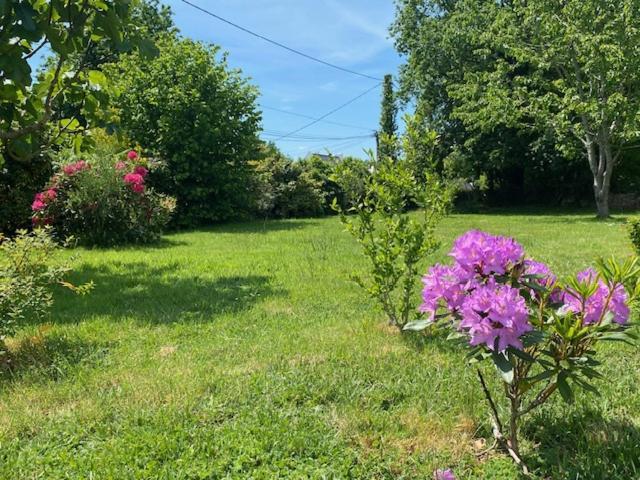 Villa Terre D'Ajoncs Saint-Philibert  Esterno foto